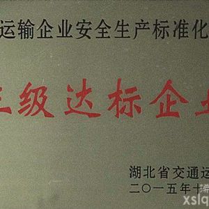 2015年省交通運輸企業(yè)安全生產(chǎn)標準化建設(shè)：三級達標企業(yè)