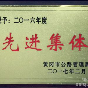 2016年度市公路管理局：先進集體
