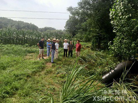 固基防汛，路橋公司全力保障公路暢行